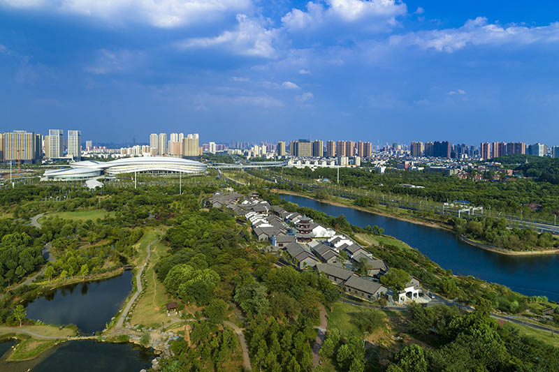 一半是清澈湖水、一半是富氧森林武漢東西湖植樹造林“種”出美好低碳生活(圖5)