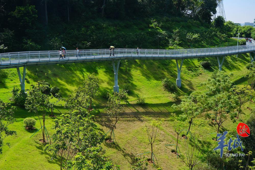 廣州市林業(yè)和園林局：勇當(dāng)綠美廣東排頭兵打造綠美生態(tài)建設(shè)廣州樣板(圖6)